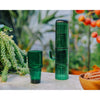 Lifestyle shot of Doiy Long drink Saguaro Cactus glasses.