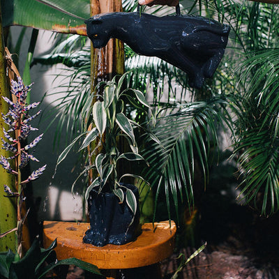 Doiy Urban Jungle Plant Pot Panther - FOK & Stuff